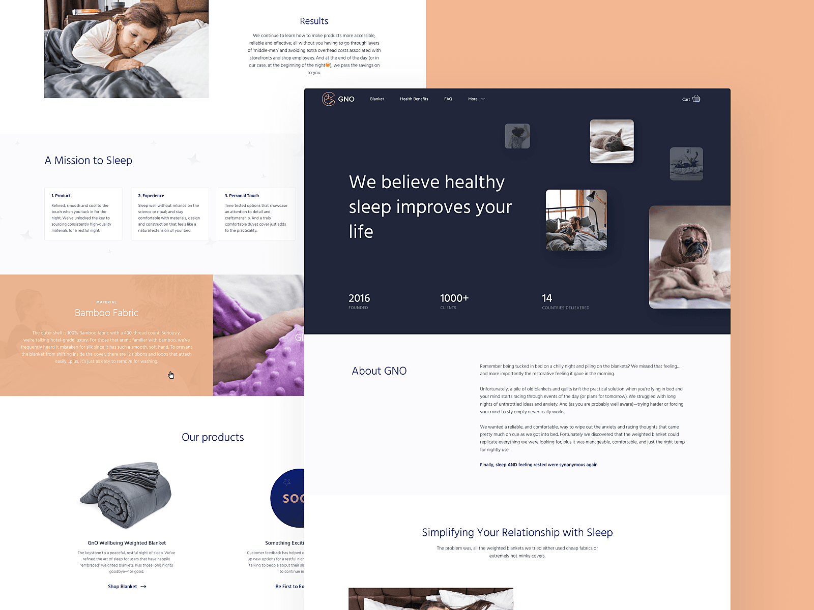 Web Development image